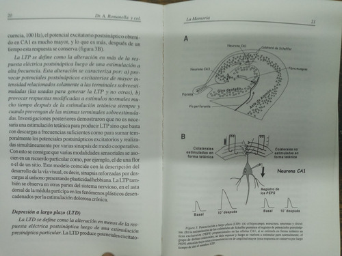 La Memoria * Fundamentos Biologicos * Dr. Arturo Romanella *