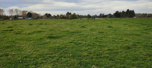 Imagen 8 de 11 de Predio Agrícola 1,5 Ha En Quema Del Buey A 38 Km De Osorno
