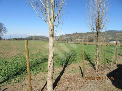 Imagen 8 de 27 de Parcela Agrícola En Venta En Paine
