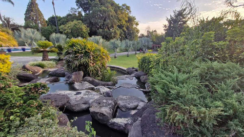 Inigualable Residencia En Venta En Jardines De Ahuatepec, Cuernavaca