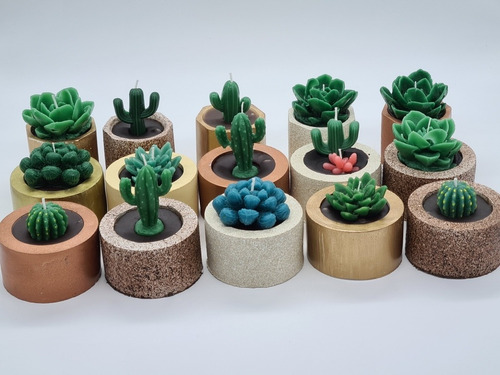 4 Vela Aromatica Cactus Y Suculenta