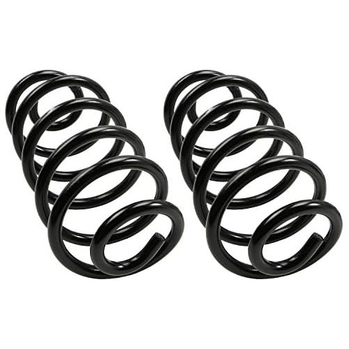 81691 Coil Spring Set