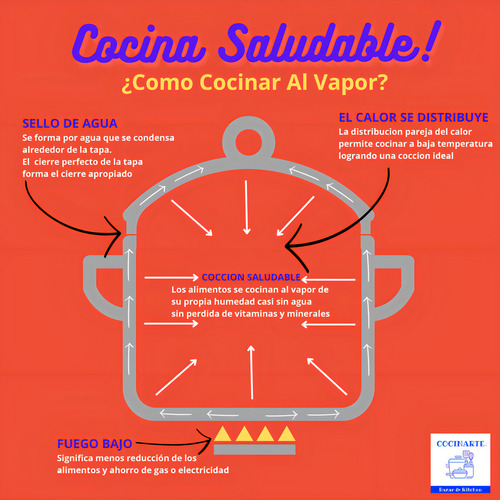 Cacerola para guiso Vibra Interior Cocina Profesional 7175 3.2L Plateado - 1 unidad