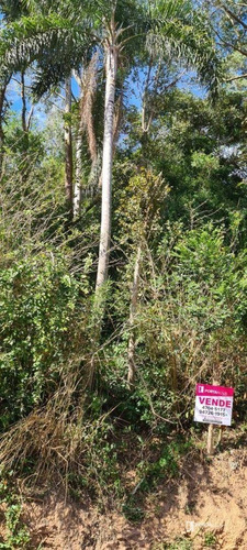 Terreno, 250 M² Por R$ 200.000 - Itapecerica Da Serra/sp - Te0161