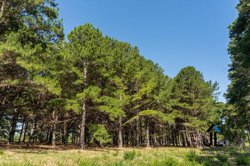 Imagen 7 de 15 de Oportunidad Venta De Dos Lotes Juntos En E1 De Pinares Cc