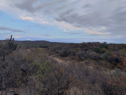 Imagen 2 de 5 de Vendo 380 Hectareas En Paso Viejo, Zona Cruz Del Eje