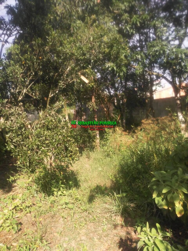 Imagem 13 de 15 de Terreno 1000 M² Com 02 Casas Na Zona Norte Jaguari Em Sjc - 1881