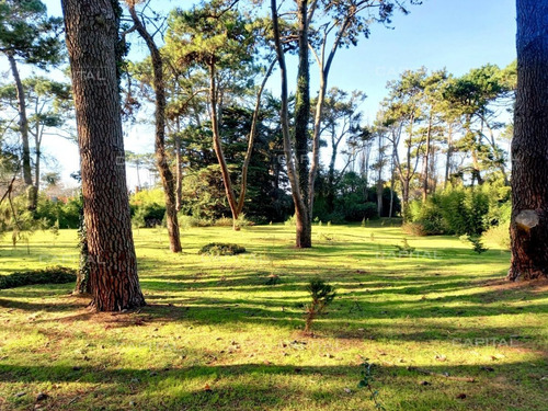 Imagen 4 de 6 de Espectacular Terreno En Playa Brava A Pocas Cuadras Del Mar - Punta Del Este Brava