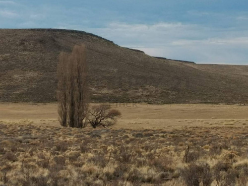 Imagen 2 de 15 de Venta Campo Productivo En La Pre-cordillera De 10623 Hectareas Cria De Ganado