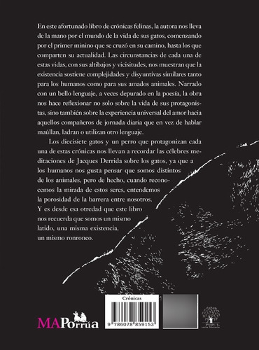 Crónicas Del Ronroneo