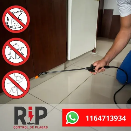 Eliminamos Cucarachas De Cocina