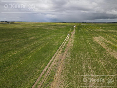 Imagen 2 de 15 de Campo Mixto 330 Has A 80km Del Puerto De Necochea- San Cayetano