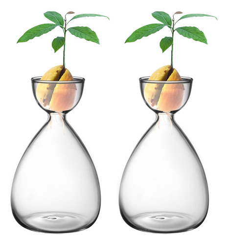 2 Piezas Pequeño Vaso De Germinación De Semilla De Aguacate,
