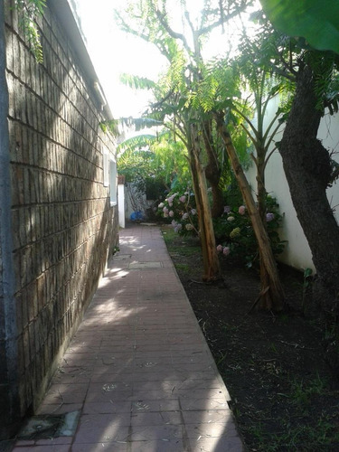 Casa/departamento En Alquiler En El Centro De Piriapolis