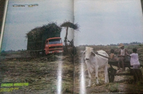 Revista Carga Nº46 1988 - Poster Vw No Canavial