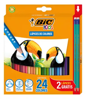 Lápices De Colores Bic Evolution Hexagonal Caja 24 Piezas