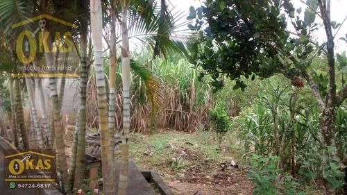 Imagem 19 de 30 de Chácara Com 1 Dormitório À Venda, 500 M² Por R$ 230.000,00 - Parque Residencial Samambaia - Suzano/sp - Ch0026