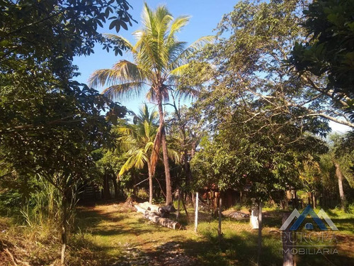 Chácara Com 1 Dormitório À Venda, 8700 M² Por R$ 220.000,00 - Água Do Pari - Jataizinho/pr - Ch0052