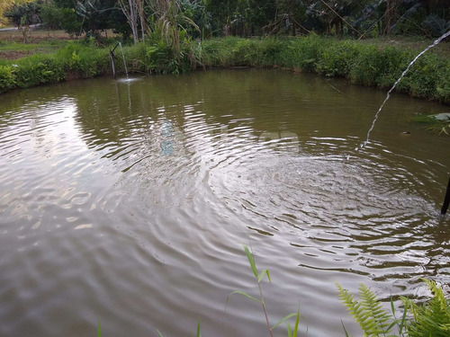 Imagem 2 de 20 de Chácara À Venda Em Botuverá/sc - 1622c