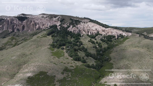 Imagen 8 de 24 de Campo De 2400 Has En Venta En Bariloche - Patagonia Argentina - Fly Fishing