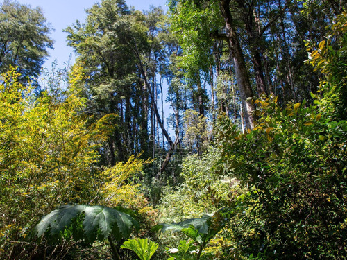 Inmersas En Bosque, Con Orilla De Rio Y Vista Al Lago.