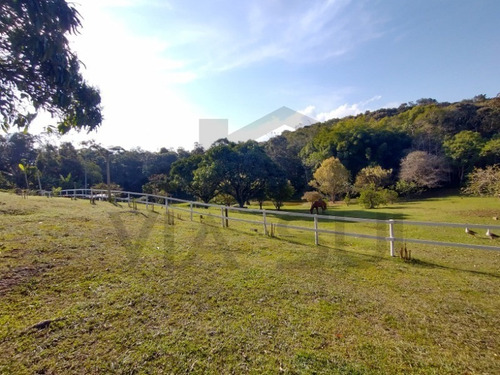 Imagem 22 de 30 de Exuberante Sítio Completo, Rico Em Água Com Nascente Própria, 02 Lagos Piscosos. Excelente Oportunidade!!! Localizado Em Juquitiba/sp - 27 - 32982809