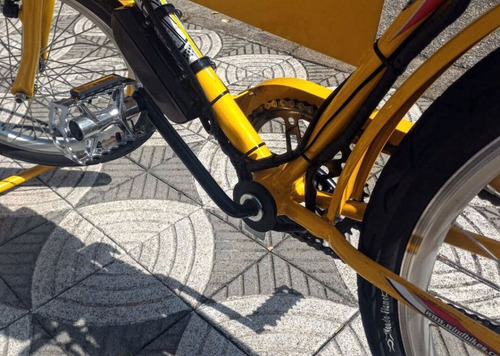 Imagem 7 de 10 de Bicicleta Elétrica Cargueira Wind Bikes 350 Watts 36 V 15ah