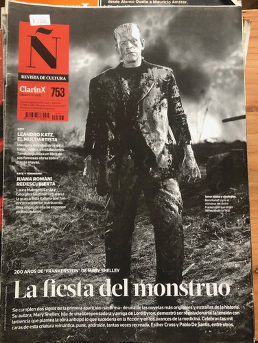 Revista Ñ (cultura)