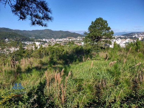 Imagem 11 de 26 de Terreno À Venda, 489 M² Por R$ 697.500,00 - Itacorubi - Florianópolis/sc - Te0085
