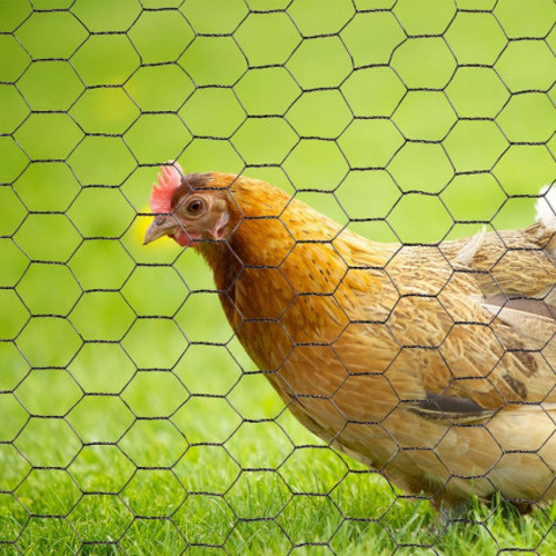 Malla Hexagonal Malla Gallinero Alambre 60cm X 5 Mt