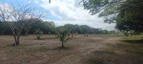 Preventa Lotes +180 M² San Jose Novillero Boca Del Rio Ver.