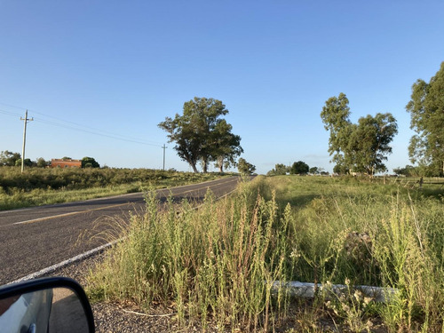 Campo De Casi 12 Hás En Ruta 40