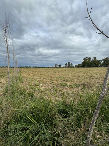 Lotes-chacras, Zarate, Buenos Aires