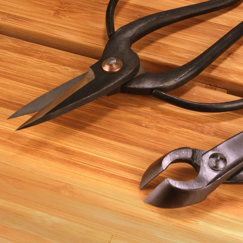 Set Cortador De Bonsai Bamboomn Cortador Concavo + Cizalla