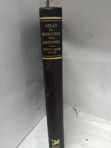 Atlas De Disección Por Regiones