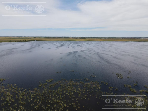 Campo En Venta En Lezama - 530 Has. Ideal Turismo Rural Con Laguna. Pesca - Retasado