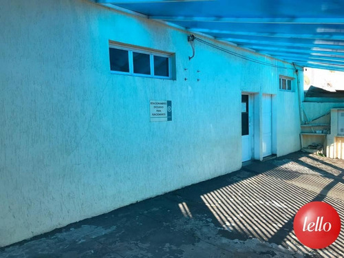 Comercial/industrial - Ref: 213636