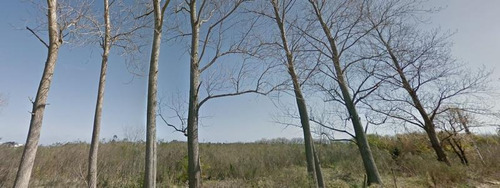 Chacra En Venta, Logistica Montevideo