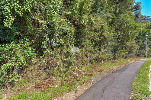 Imagem 19 de 21 de Área - Comercial/residencial - 932545