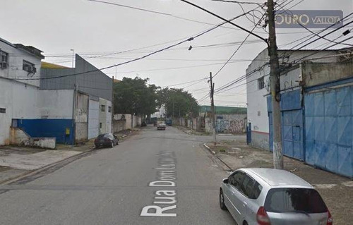 Terreno Com 828m² - Te 210107g - Te0249