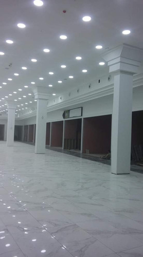 Imagen 3 de 5 de Pintor De Casas Y Edificios