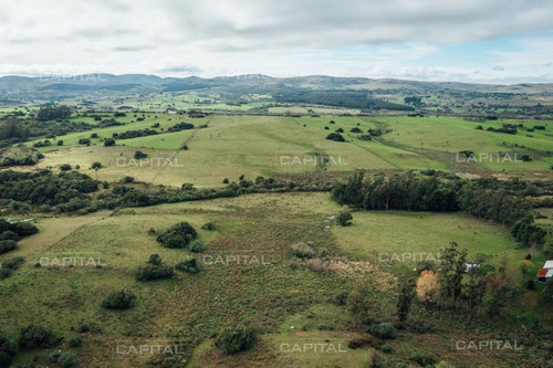Imagen 8 de 15 de Chacra En Venta En Las Cañas - Zona Rural Las Cañas