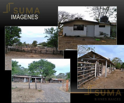 Imagen 2 de 6 de Terreno - Ejido Magiscatzin
