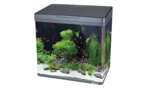 Boyu Acuario Ms320 De 20 Lt Para Agua Dulce 