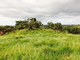 Imagem 3 de 16 de Área À Venda, 178400 M² Por R$ 6.779.200,00 - Caputera - Sorocaba/sp - Ar0002