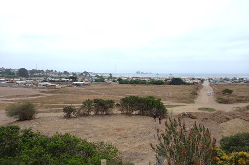 Oportunidad 4,9 Hectáreas En Los Vilos, Amplia Plusvalía