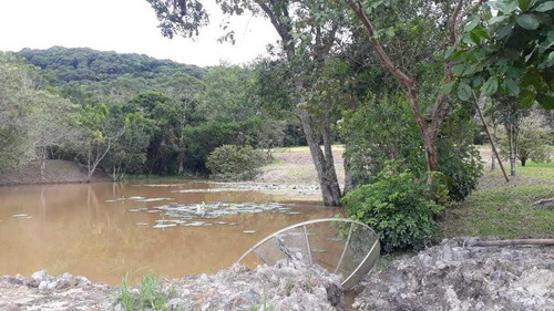 Imagem 5 de 15 de Sítio / Chácara Para Venda Em Paranaguá, Zona Rural, 6 Dormitórios, 3 Banheiros, 1 Vaga - 57_2-1158859