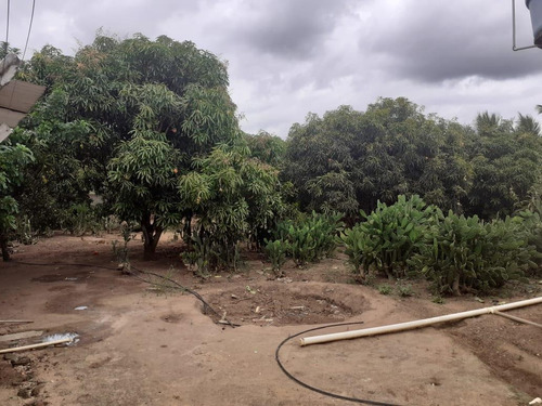 Imagem 3 de 15 de Chácara Para Venda, Zona Rural - In - 0028_1-1741101