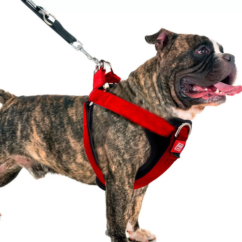 Pretal Arnes Para Perros Deportivo  Dog Training Premium
