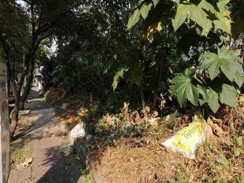 Imagen 3 de 7 de Terreno En Venta En Jardines De Coyoacan.